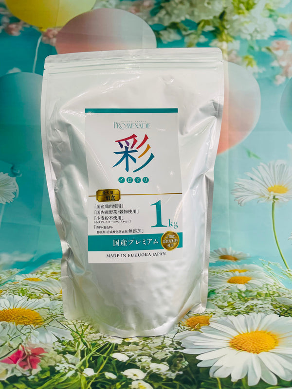 彩イロドリ　愛犬用一般食