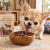 【彩イロドリ】低カロリー高たんぱくの犬用おやつ馬肉ジャーキー ジャーキー